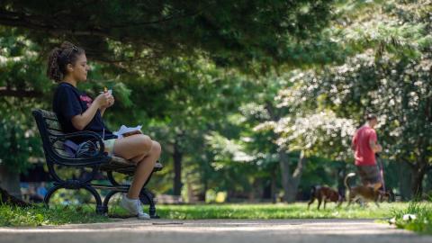 Urban park with someone on a bench
